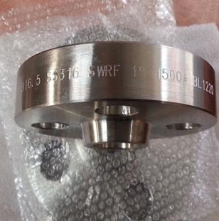 SS 316 Flanges